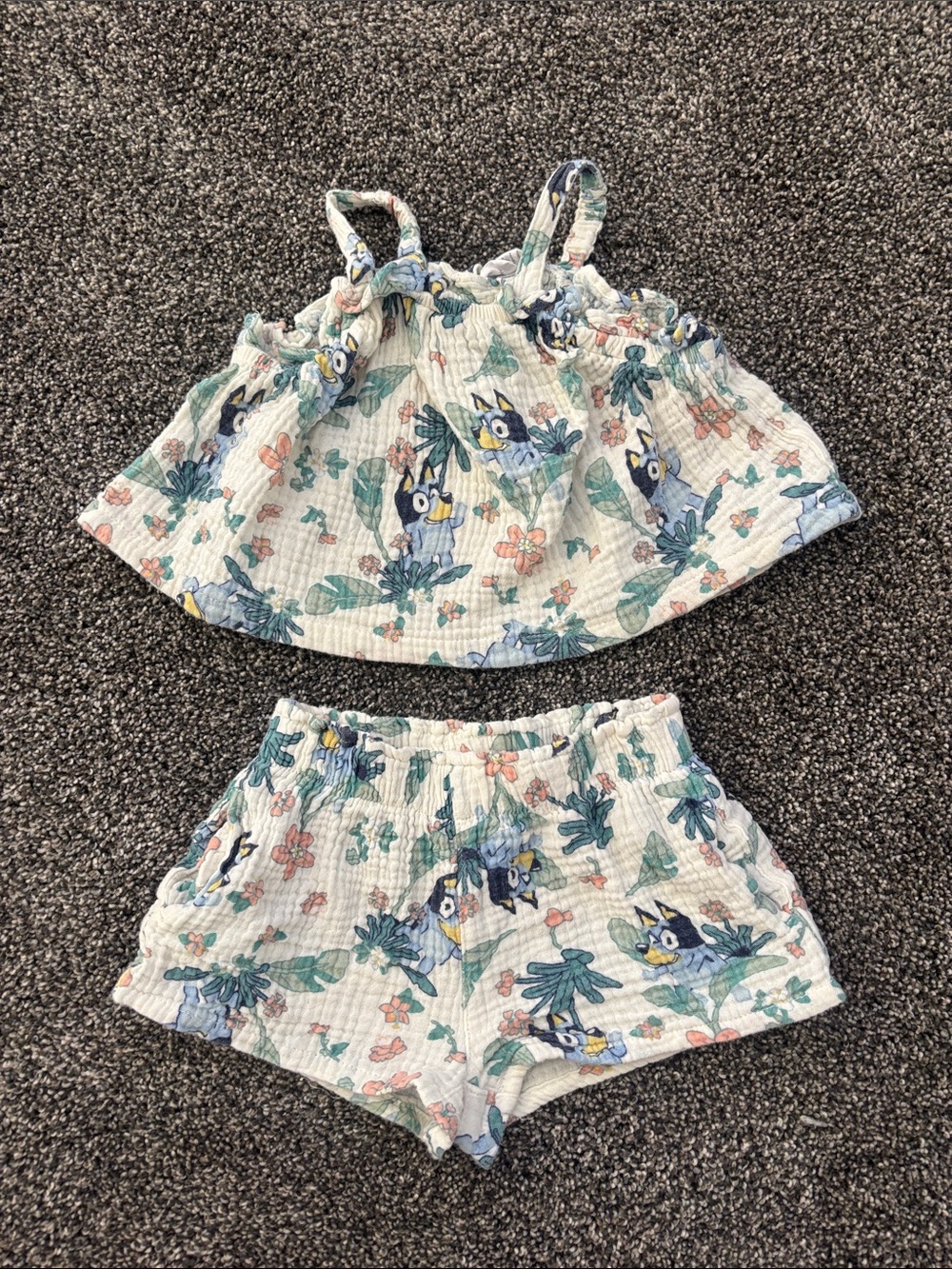 2T Two piece Bluey Set